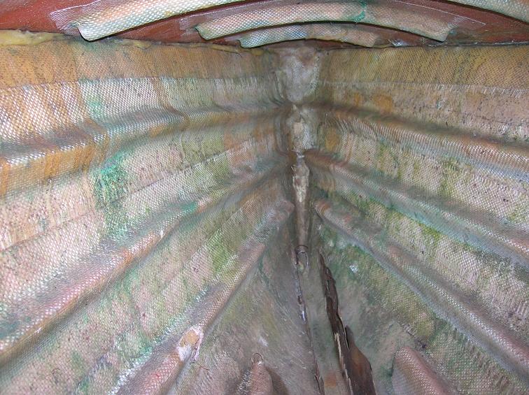 [Immagine: 20091213195148_DSCN5895 bis.JPG]